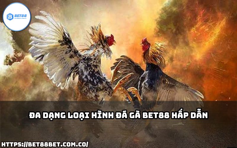 Tham gia Đá Gà Bet88 với đa dạng loại hình hấp dẫn, thỏa mãn đam mê giải trí của anh em.